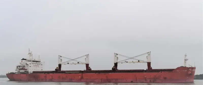 XIN HAI TONG 21 Bulk Carrier IMO 9493688 photo 2