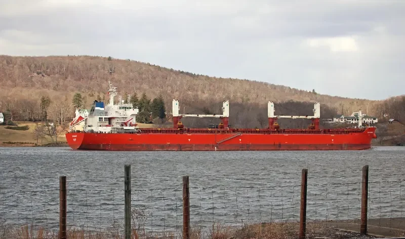 XIN HAI TONG 21 Bulk Carrier IMO 9493688 photo 5