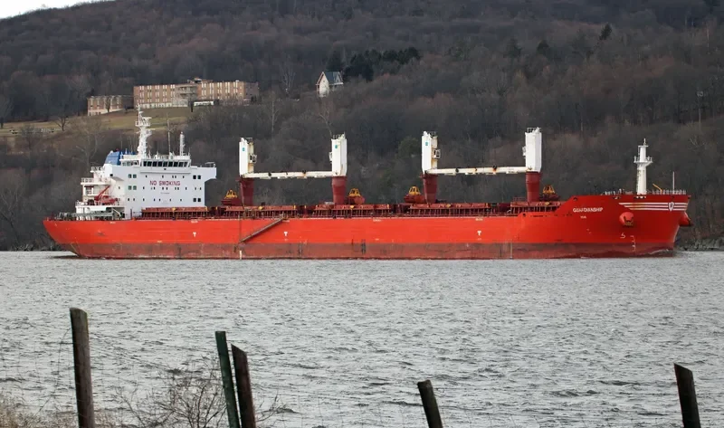 XIN HAI TONG 21 Bulk Carrier IMO 9493688 photo 6