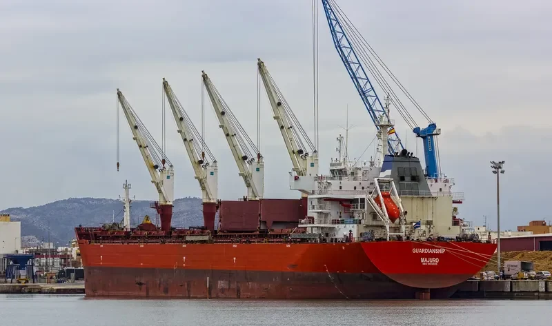 XIN HAI TONG 21 Bulk Carrier IMO 9493688 photo 7