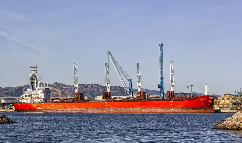XIN HAI TONG 21 Bulk Carrier IMO 9493688 photo 9
