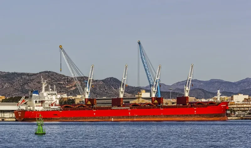XIN HAI TONG 21 Bulk Carrier IMO 9493688 photo 10