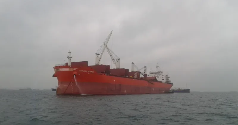 VIRTUOUS STRIKER Bulk Carrier IMO 9493690