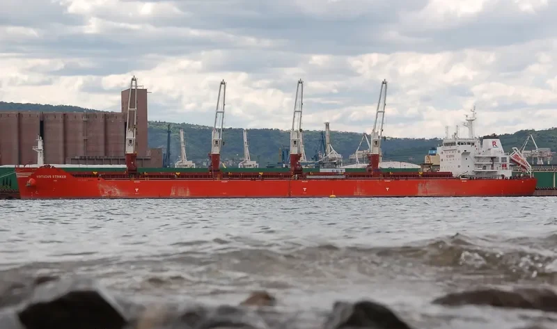 VIRTUOUS STRIKER Bulk Carrier IMO 9493690 photo 2