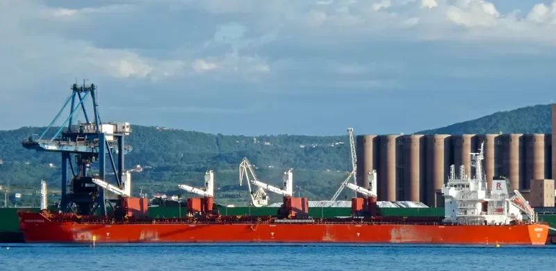 VIRTUOUS STRIKER Bulk Carrier IMO 9493690 photo 5
