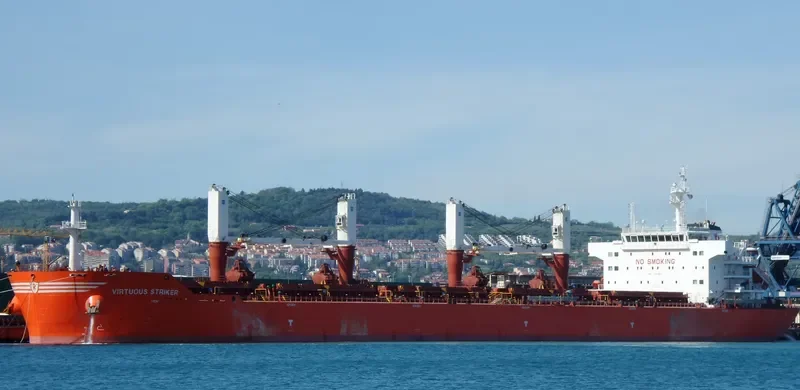 VIRTUOUS STRIKER Bulk Carrier IMO 9493690 photo 6
