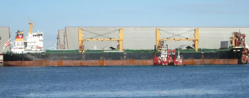 WAN ADVANTAGE Bulk Carrier IMO 9493731 photo 4