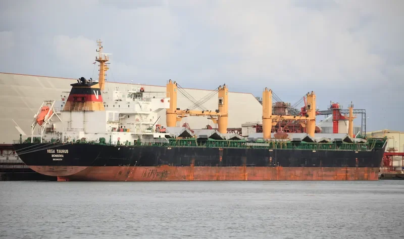 WAN ADVANTAGE Bulk Carrier IMO 9493731 photo 7