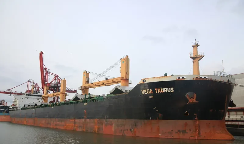 WAN ADVANTAGE Bulk Carrier IMO 9493731 photo 8