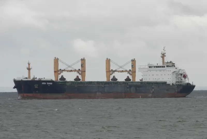 WAN ADVANTAGE Bulk Carrier IMO 9493731 photo 9