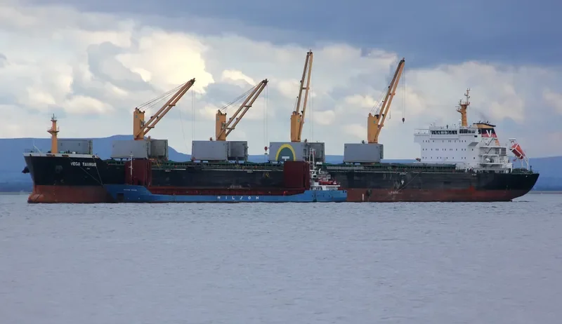 WAN ADVANTAGE Bulk Carrier IMO 9493731 photo 10