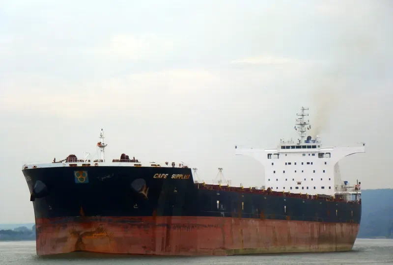 CAPE SUPPLIER Bulk Carrier IMO 9493743 photo 2