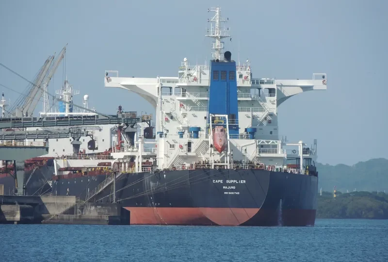 CAPE SUPPLIER Bulk Carrier IMO 9493743 photo 6