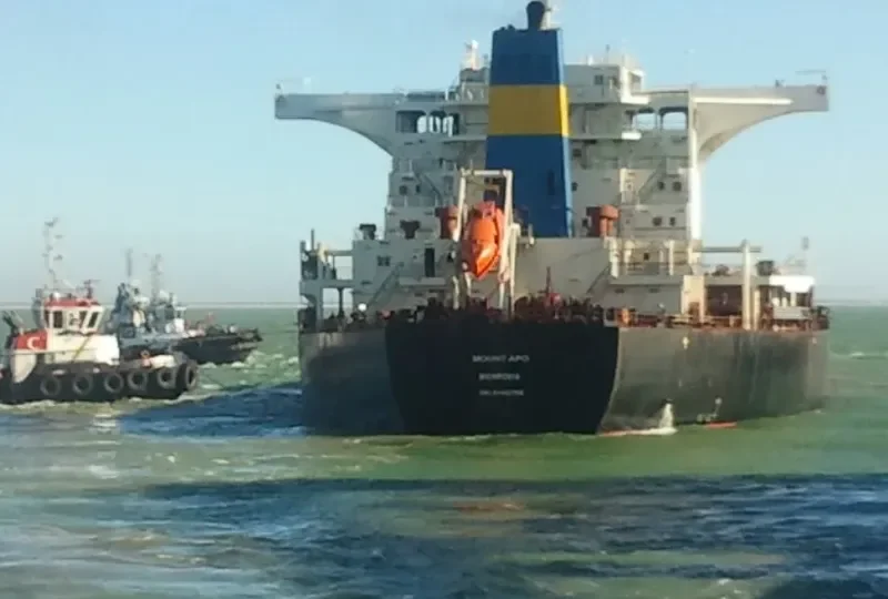 MOUNT APO Bulk Carrier IMO 9493755