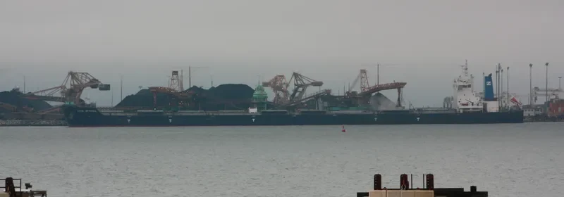 MOUNT APO Bulk Carrier IMO 9493755 photo 3