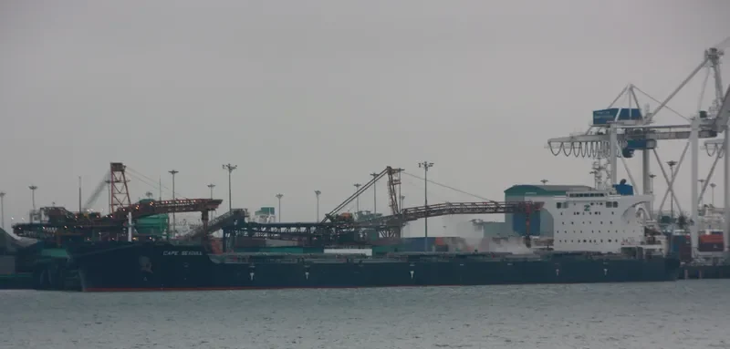 MOUNT APO Bulk Carrier IMO 9493755 photo 4