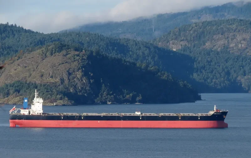 MOUNT APO Bulk Carrier IMO 9493755 photo 6