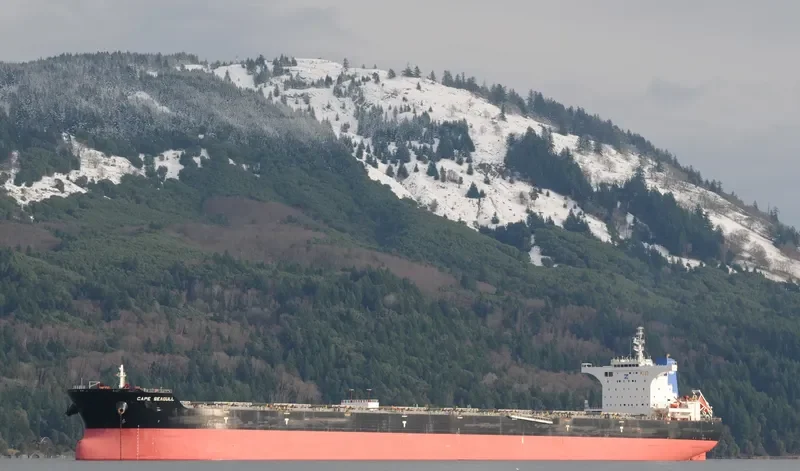 MOUNT APO Bulk Carrier IMO 9493755 photo 7