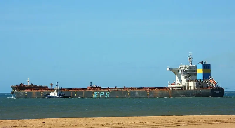 MOUNT APO Bulk Carrier IMO 9493755 photo 8