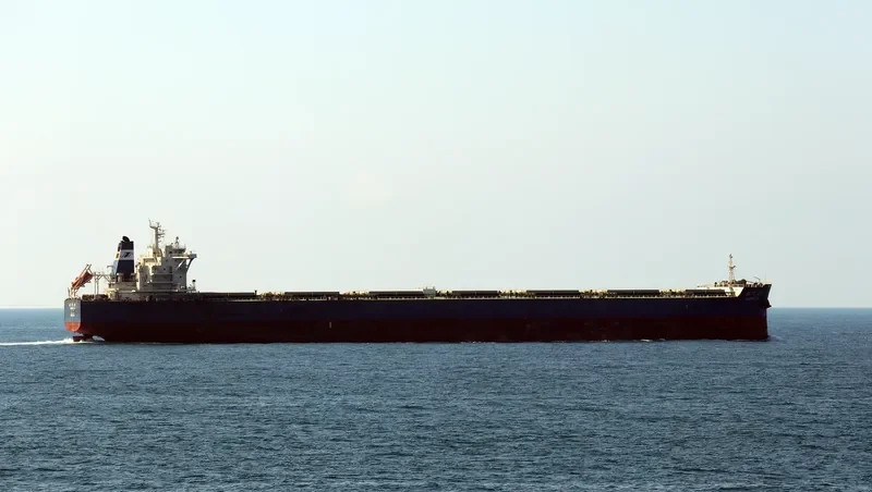 SHI DAI 20 Bulk Carrier IMO 9493834