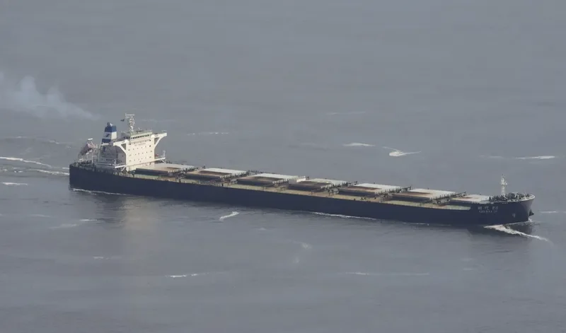 SHI DAI 20 Bulk Carrier IMO 9493834 photo 4