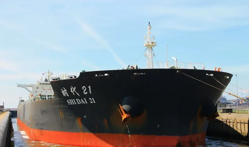 SHI DAI 21 Bulk Carrier IMO 9493846 photo 5