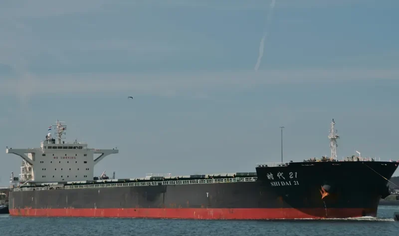 SHI DAI 21 Bulk Carrier IMO 9493846 photo 9