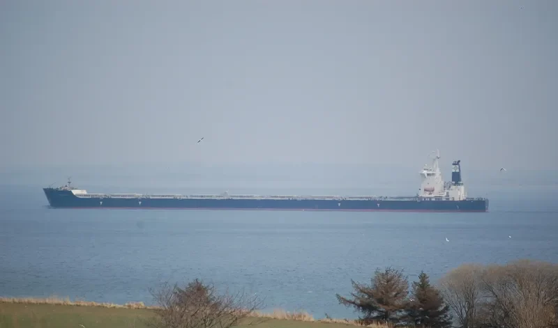 QUORN Bulk Carrier IMO 9493860 photo 9