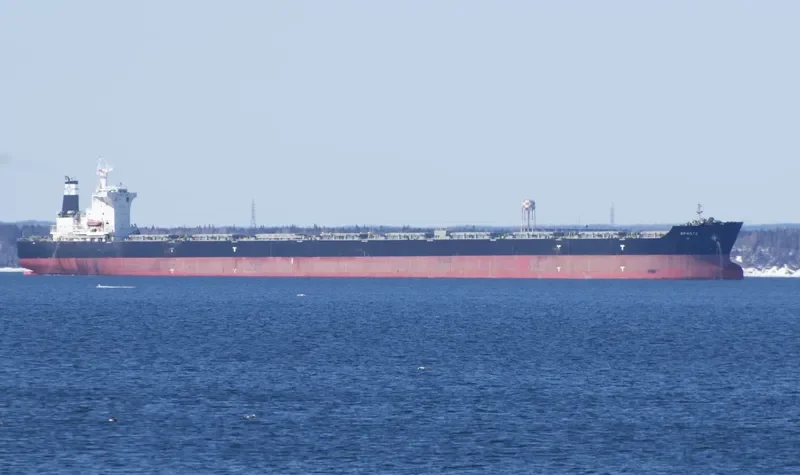 QUORN Bulk Carrier IMO 9493860 photo 10