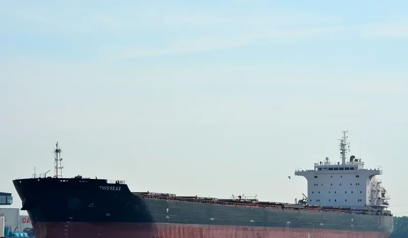 THISSEAS Bulk Carrier IMO 9493896 photo 3