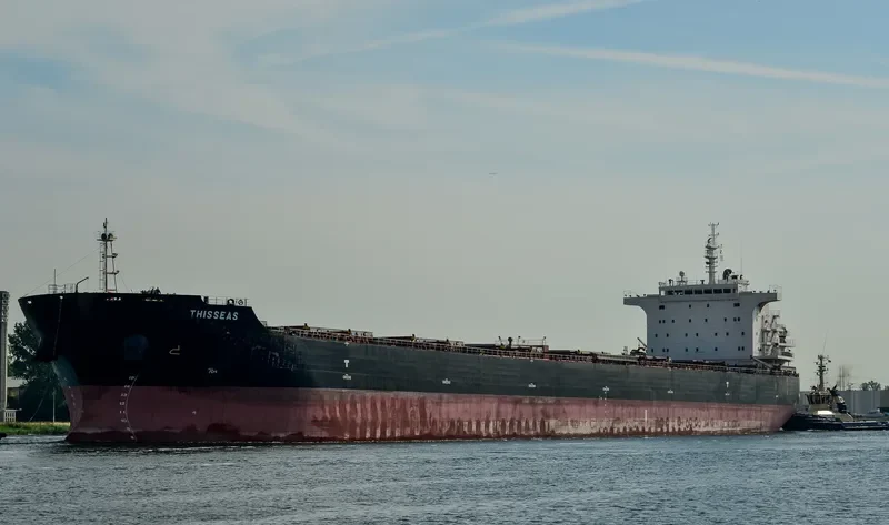 THISSEAS Bulk Carrier IMO 9493896 photo 6