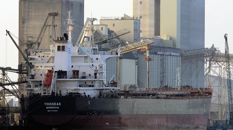 THISSEAS Bulk Carrier IMO 9493896 photo 8