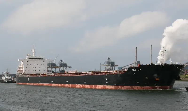 NESTOR Bulk Carrier IMO 9493913 photo 3
