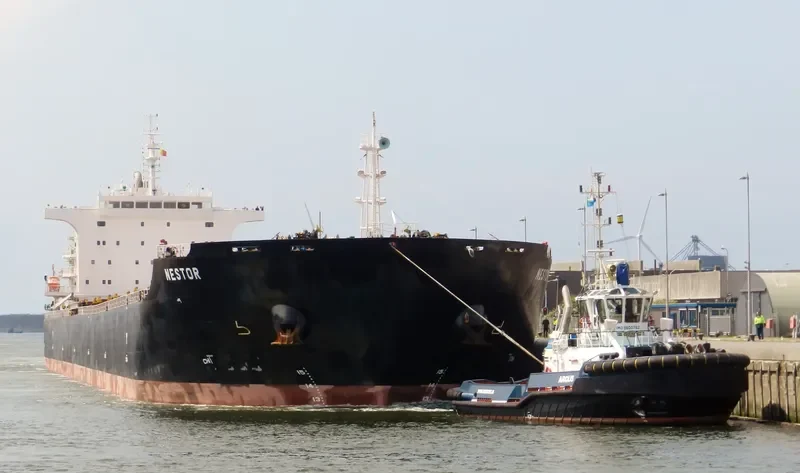 NESTOR Bulk Carrier IMO 9493913 photo 4