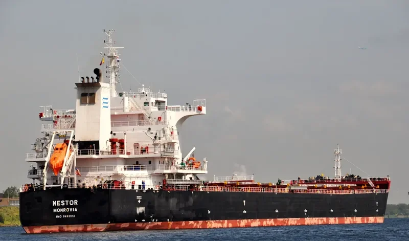 NESTOR Bulk Carrier IMO 9493913 photo 6