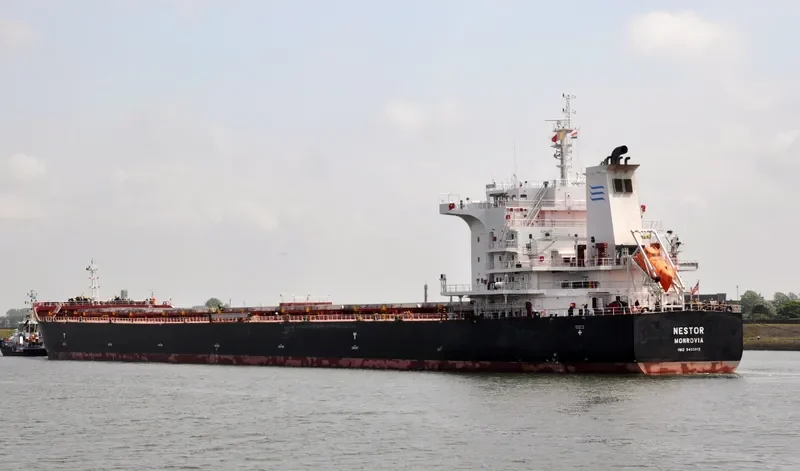 NESTOR Bulk Carrier IMO 9493913 photo 7