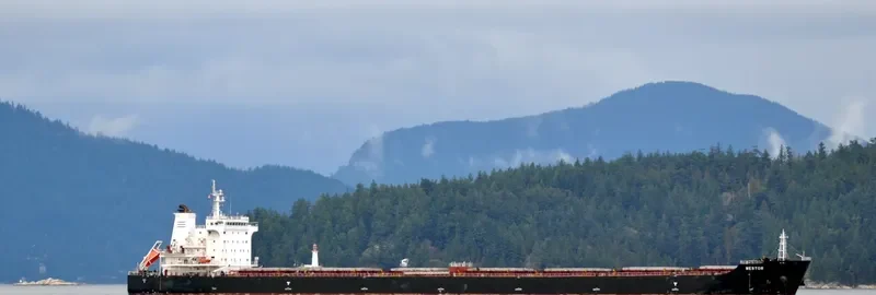 NESTOR Bulk Carrier IMO 9493913 photo 10