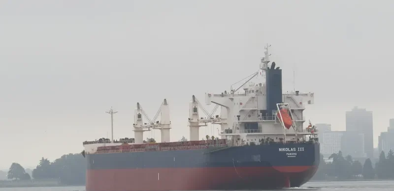 MUBASYIR Bulk Carrier IMO 9493937 photo 6