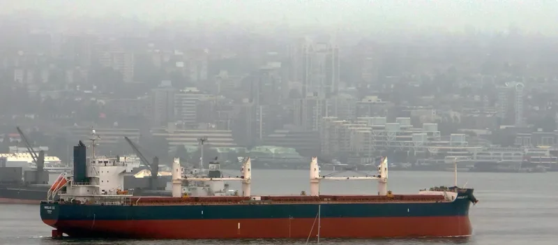 MUBASYIR Bulk Carrier IMO 9493937 photo 7