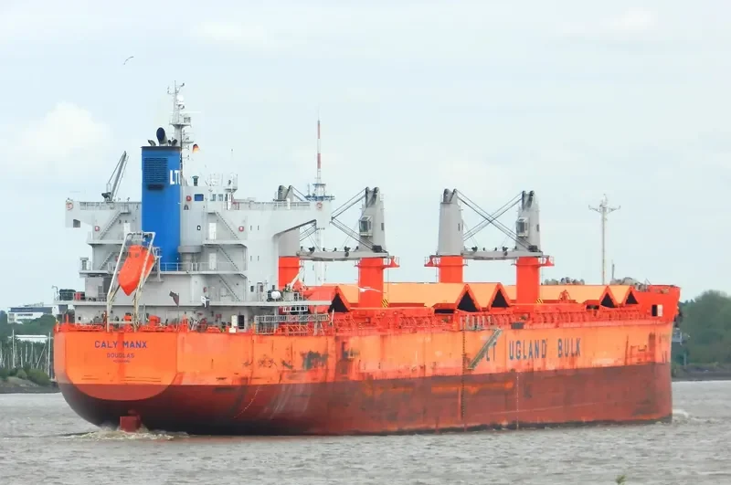 VINAYAK Bulk Carrier IMO 9493951 photo 2