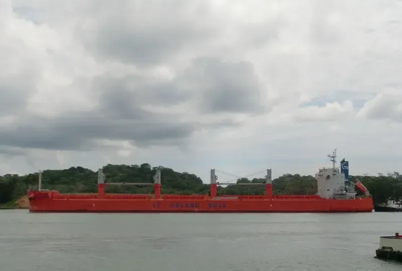 VINAYAK Bulk Carrier IMO 9493951 photo 7