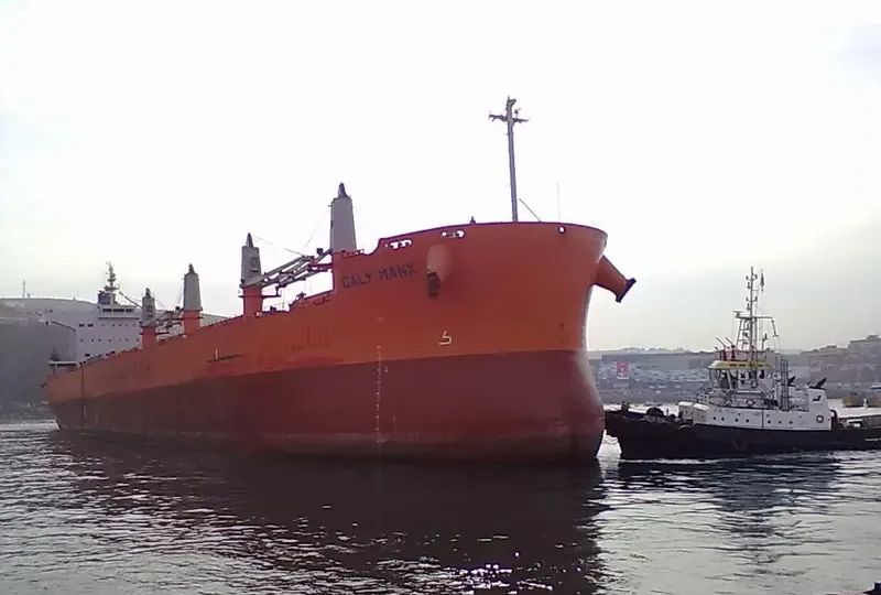 VINAYAK Bulk Carrier IMO 9493951 photo 8