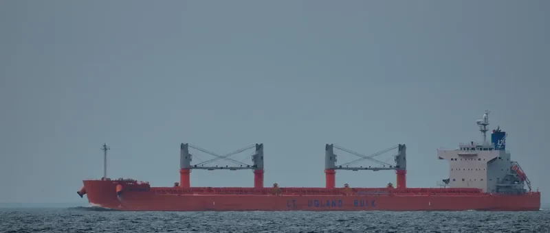 VINAYAK Bulk Carrier IMO 9493951 photo 9
