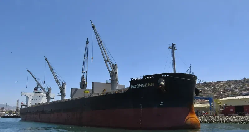 MOONBEAM Bulk Carrier IMO 9493987