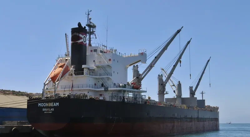 MOONBEAM Bulk Carrier IMO 9493987 photo 2