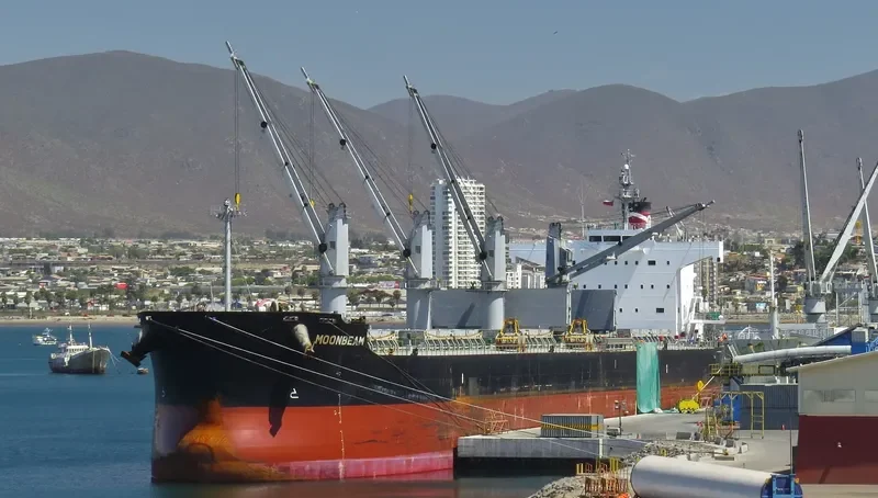 MOONBEAM Bulk Carrier IMO 9493987 photo 3
