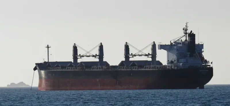 MOONBEAM Bulk Carrier IMO 9493987 photo 4
