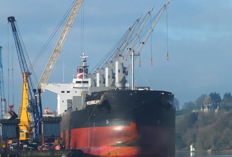 MOONBEAM Bulk Carrier IMO 9493987 photo 5
