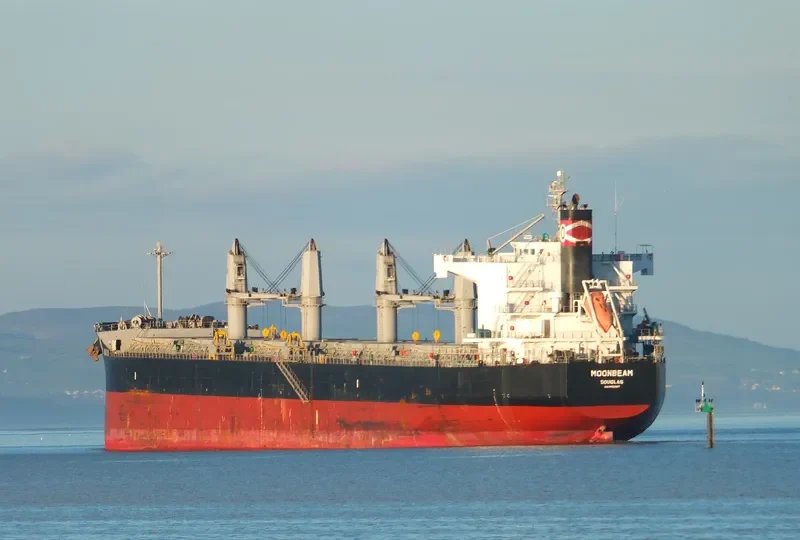 MOONBEAM Bulk Carrier IMO 9493987 photo 6