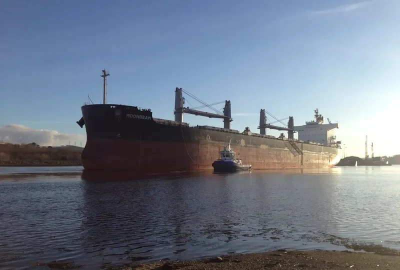 MOONBEAM Bulk Carrier IMO 9493987 photo 7